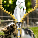 tela de bloqueio zipper gato APK