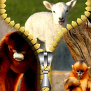 Animals Zipper Lock Screen APK