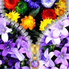 Flowers Zipper Lock Screen-icoon