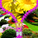 tela de bloqueio primavera APK