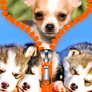 tela de filhote de cachorro APK
