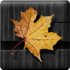 Golden Leaves Live Wallpaper icon