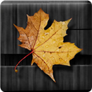 Golden Leaves Live Wallpaper APK