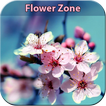 Flower Zone