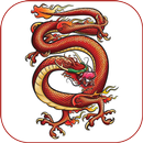 Chinese Dragon Tattoo Designs APK