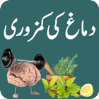 Dimaghi Kamzori آئیکن