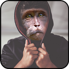 Best Snap Monkey Face Maker 2017 icono