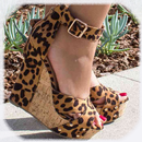 Designs Wedges Shoe APK