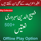 Fasihuddin Soharwardi Naatein أيقونة