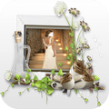 Beautiful Bridal Dress Montage