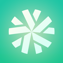 FAST  Taillight APK