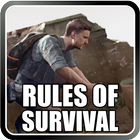 Icona Guide Rules Of Survival 2018