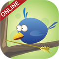 Shoot Birds