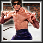 Kung Fu Fighting ícone