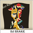 DJ Snake Let Me Love You APK