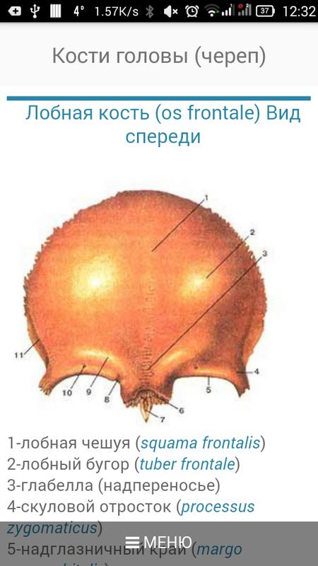 read interpolation of operators volume