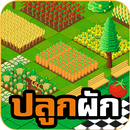 เกมปลูกผัก APK