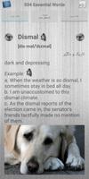 504 Essential Words تصوير الشاشة 2