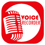 ضبط صدای حرفه ای