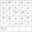 Learning Sign Language From Different Countries