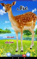 عالم الحيوان بالصوت والصورة Affiche