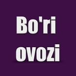 Bori ovozi ( 2018 )