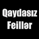 Qaydasız Feillər
