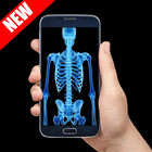 Body Scanner Prank أيقونة