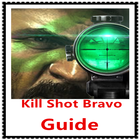 Guide for Kill Shot Bravo ikona