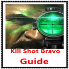 Guide for Kill Shot Bravo icône