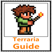Guide for Terraria