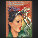 Hamzad Ka Ishq Novel APK