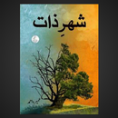 Shehar E Zaat Novel APK