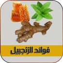 فوائد الزنجبيل بدون نت APK