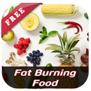 Fat Burning Food APK