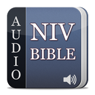 Audio NIV Free ícone