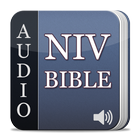 Audio NIV Free icon