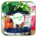 Diy Aquaponic 2018