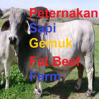 Fat Beef Farm. icono