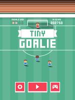 Tiny Goalie poster