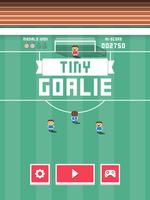 Tiny Goalie plakat