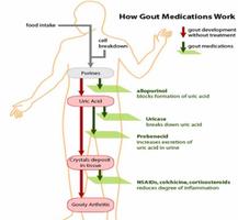 Gout/Uric Acid Diseases capture d'écran 2