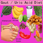 Gout / Uric Acid Diet ไอคอน