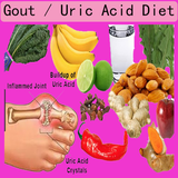 Gout / Uric Acid Diet icône