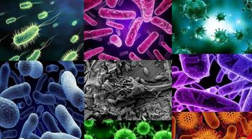 How To Treat Tuberculosis capture d'écran 1