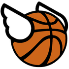 ikon Flappy dunk - Basket Ball