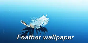 Feather wallpaper