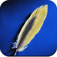 download Feather wallpaper APK