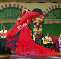 Aprender el baile Flamenco captura de pantalla 1