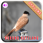 Master Kicau Burung Kutilang APK